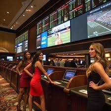 qqee casino সুবিধার তথ্য তুলে ধরা ছবি